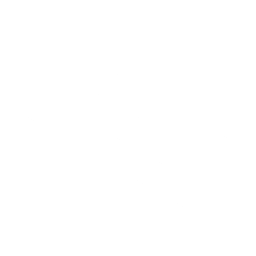 NRLIT Store Logo